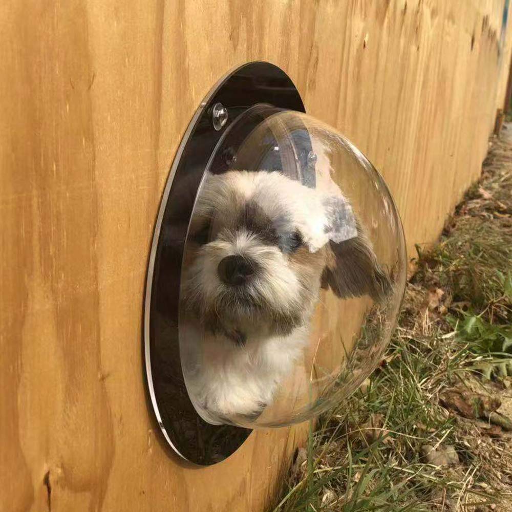 Clear Acrylic Dome Fence Dog Window