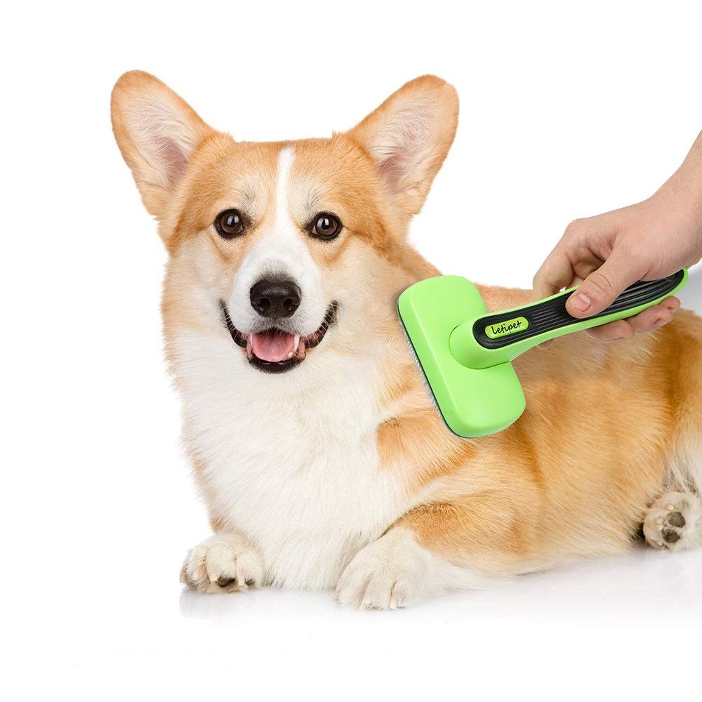 Self-Cleaning Grooming Dog Brush