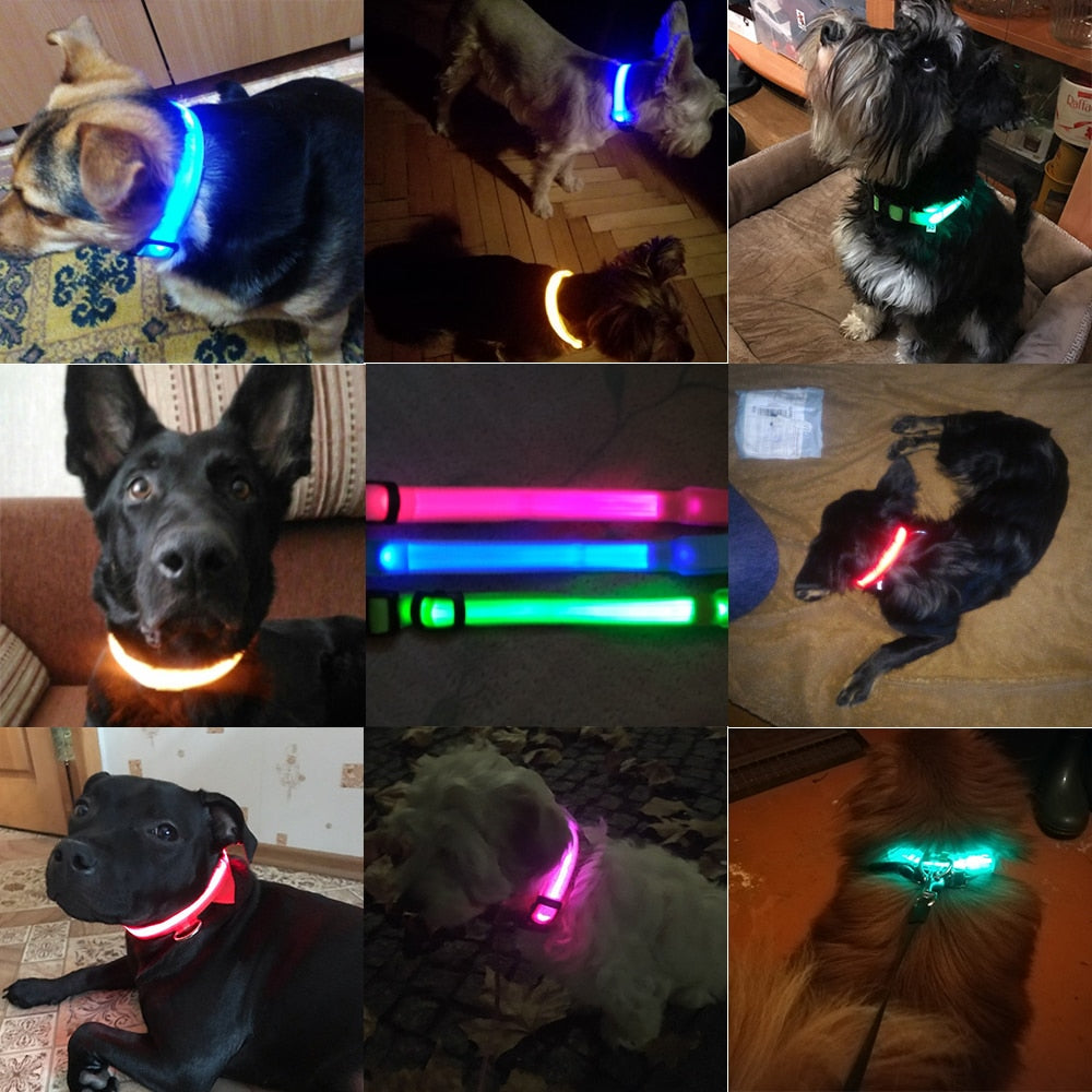 USB Charging LED Dog Collars