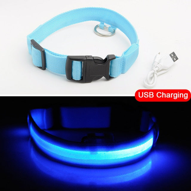 USB Charging LED Dog Collars