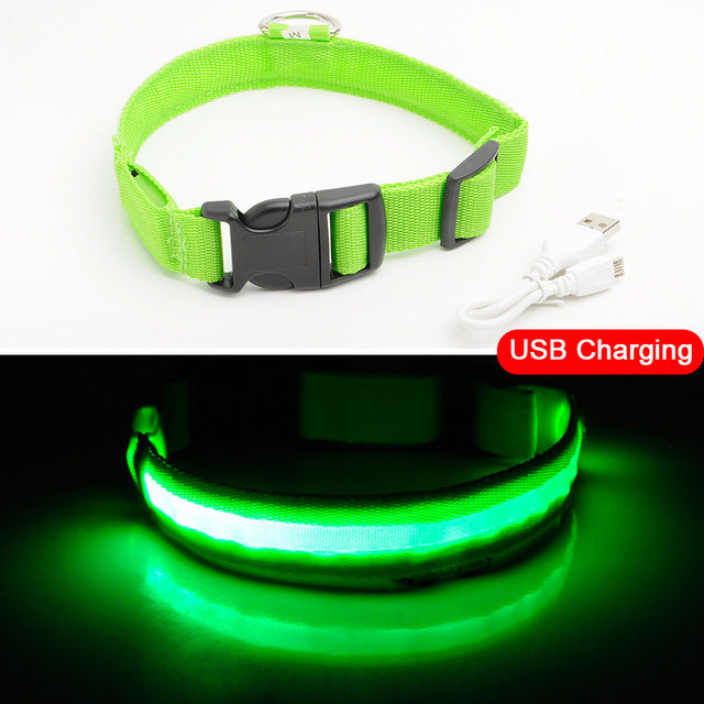 USB Charging LED Dog Collars