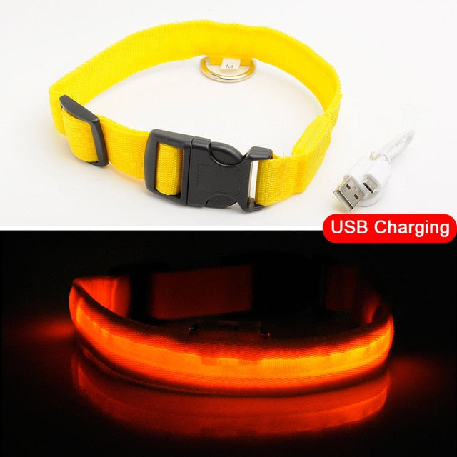 USB Charging LED Dog Collars