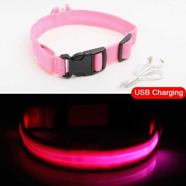 USB Charging LED Dog Collars